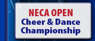 NECA Open Event